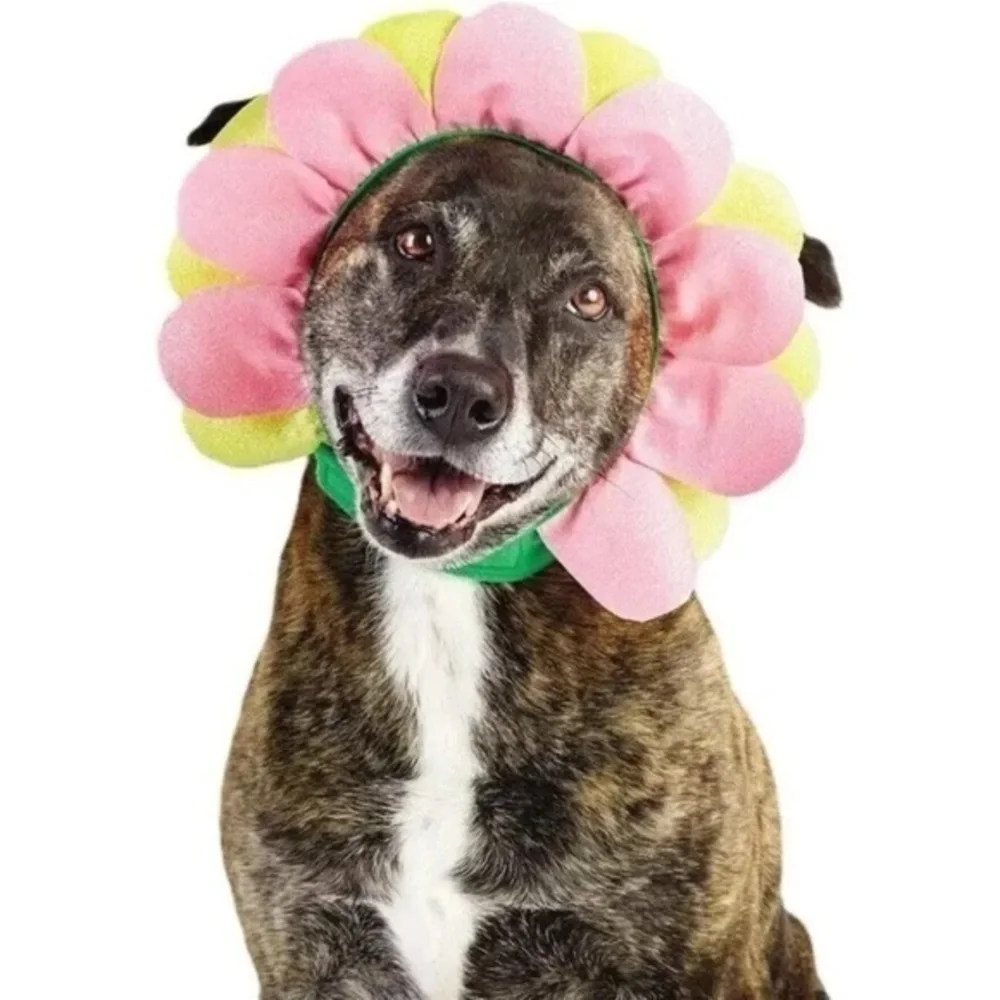 Target Hyde Eek Pet Flower Shimmer Petal Headpiece Dog Pet Halloween Hat Sm/Med
